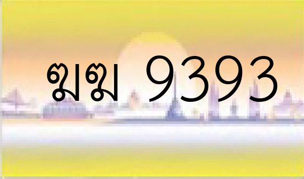 ฆฆ 9393